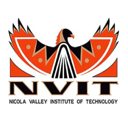NVIT logo